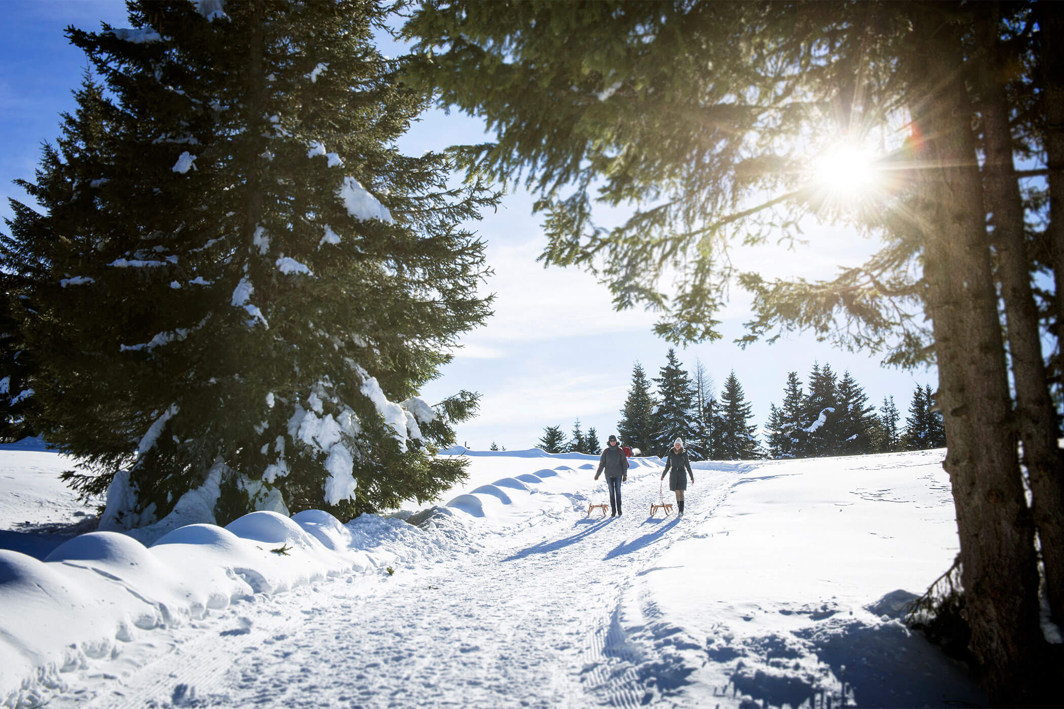 Verschneite Winterlandschaft beim Rodeln - Neuhaus - Apartments & Historic Chalet in St. Sigmund